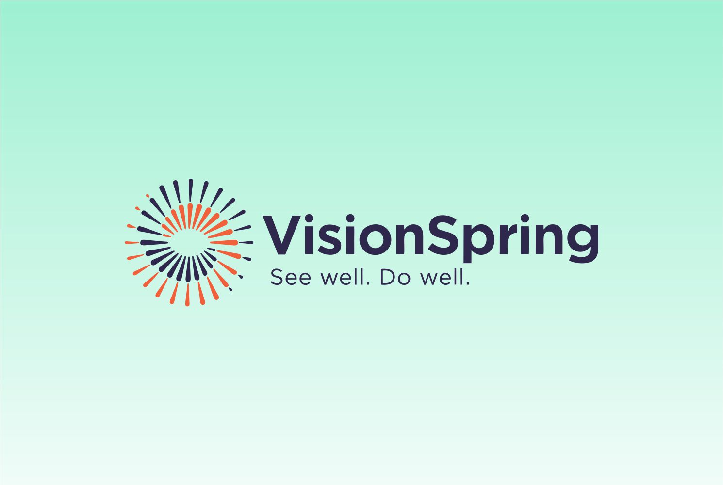 VisionSpring