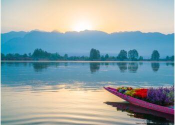 Simplifying the Process: How to Find and Bid for PWD Tenders in Kerala