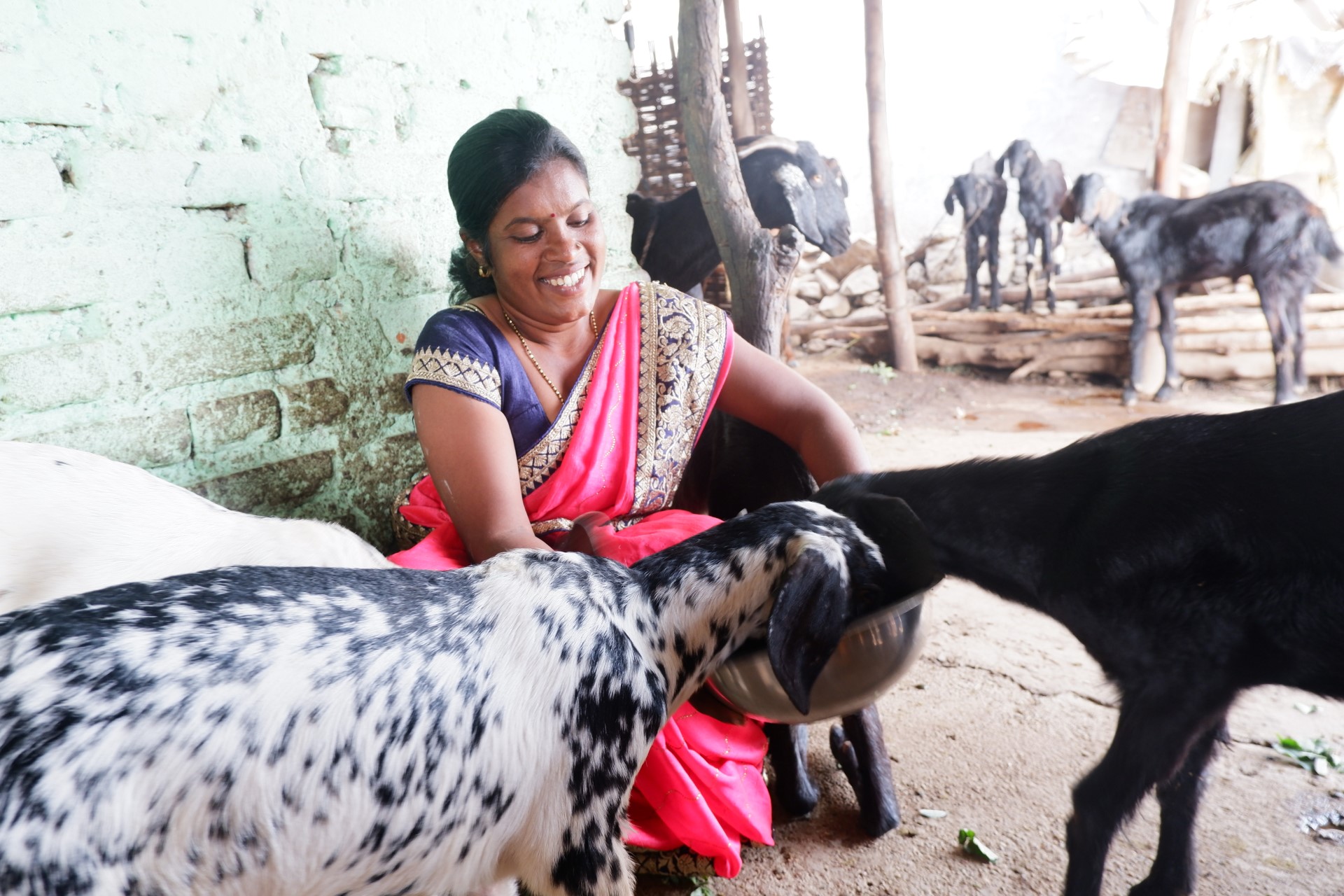 CSR: Ambuja Cements Fuels Economic Progress in Rural Chandrapur through Sustainable Livelihoods 