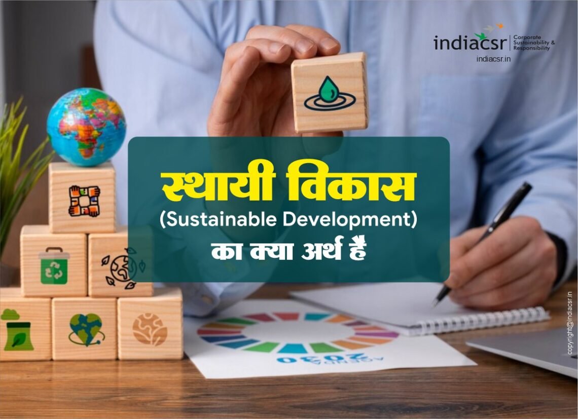 CONCEPT OF SUSTAINABLE DEVELOPMENT MEANING IN HINDI visual data 6