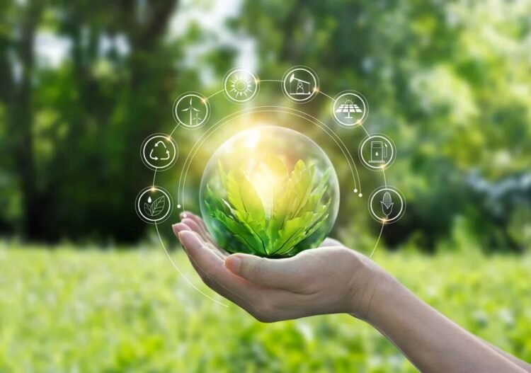 Sustainable Energy Ecosystem