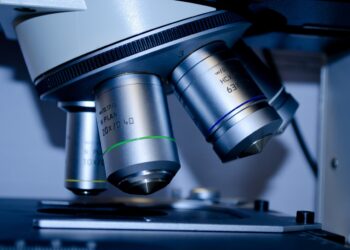 IGF-1 LR3: Metabolism, Diabetes, and More