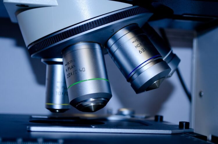IGF-1 LR3: Metabolism, Diabetes, and More