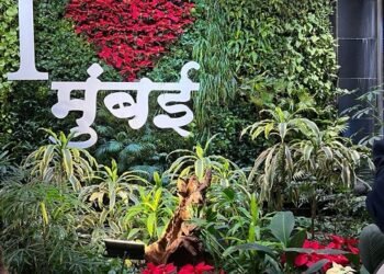 CSMIA Elevates Green Efforts with Vertical Green Wall at the Airport