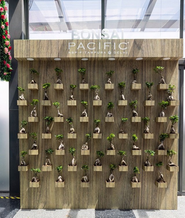 Pacific Mall NSP Pitampura Hosts 3-Day Event on the Occasion of World Earth Day