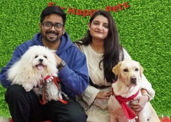 Zigly Donates Preloved Pet Accessories to Aid Homeless Animals