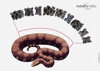 IIT Roorkee Researchers Discover Ancient Giant Snake Fossil in Gujarat
