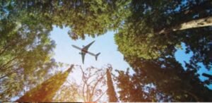 Emirates Group: 3 Pillars of Environmental Sustainability