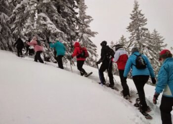 Liberty Vacations International Hospitality Membership Service