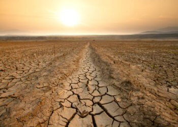 Life and Agriculture Are in Danger Due to the Water Crisis