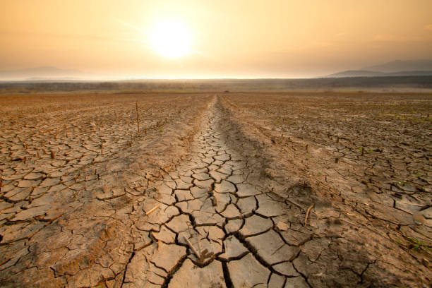 Life and Agriculture Are in Danger Due to the Water Crisis