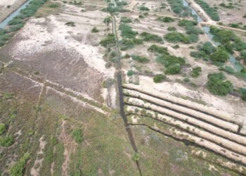 United Way Bengaluru Launches 'Mangroves Matter': A Campaign to Restore Mangrove Ecosystems