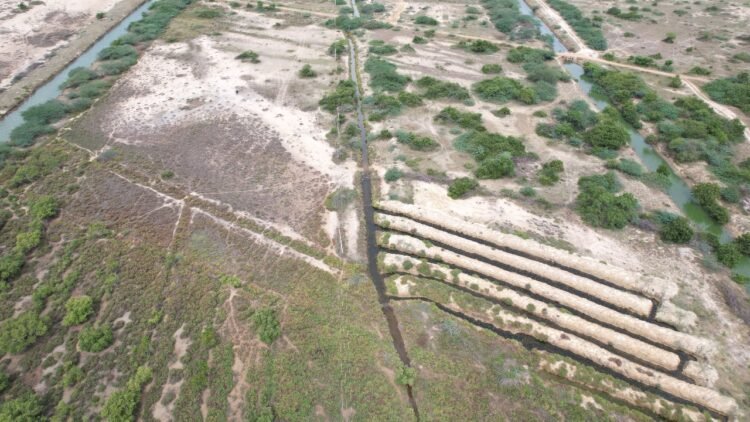 United Way Bengaluru Launches 'Mangroves Matter': A Campaign to Restore Mangrove Ecosystems