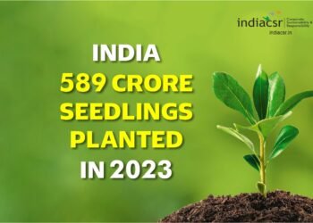 Tree Plantation India Plants 589 Crore Seedlings in 2023. Image: India CSR
