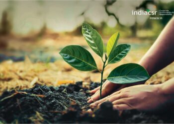 a person's hands planting a plant