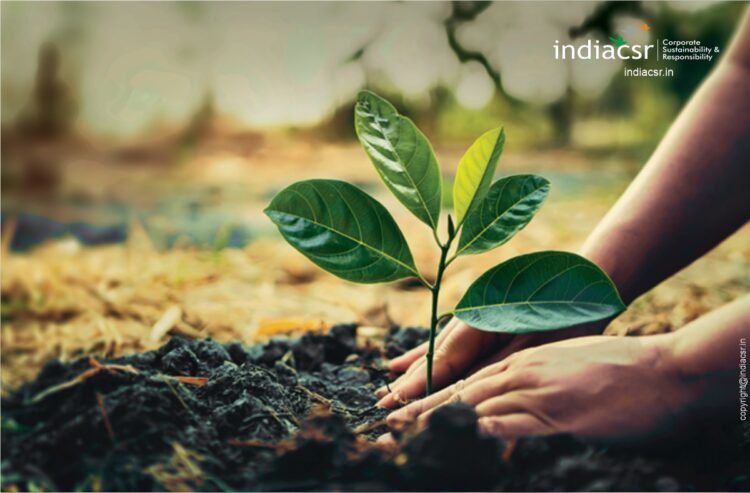a person's hands planting a plant