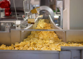 Unveiling the Secrets of the Automatic Potato Chips Production Line
