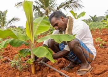 Bringing Back Soil, The ITC Way