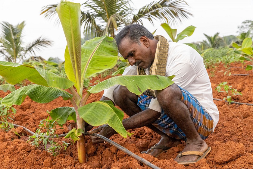 Bringing Back Soil, The ITC Way