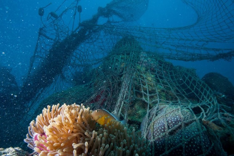 Novotel Joins Forces with WWF to Safeguard Our Oceans