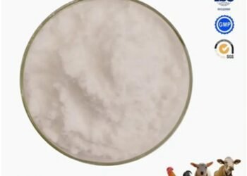 Read this Guide before Buying Bulk Pharmaceutical Intermediates