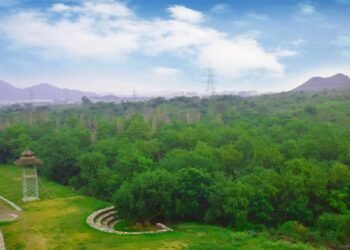 NIIT University Unveils Sustainability Impact Report 2024 Over 1 Lakh Trees Planted in Aravalli Range