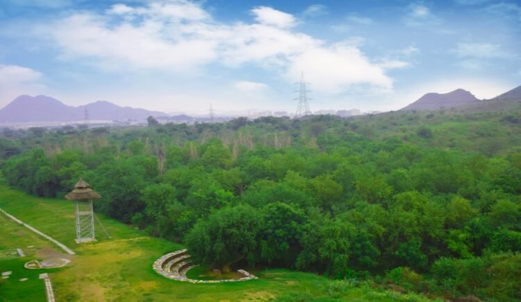 NIIT University Unveils Sustainability Impact Report 2024 Over 1 Lakh Trees Planted in Aravalli Range