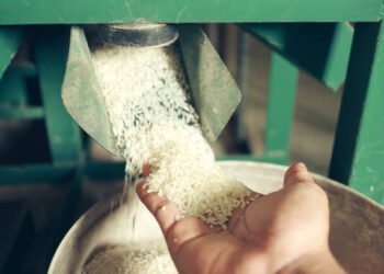 Rice Mill Machines