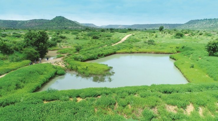 Biodiversity: Path to Nature Positivity 3 India CSR
