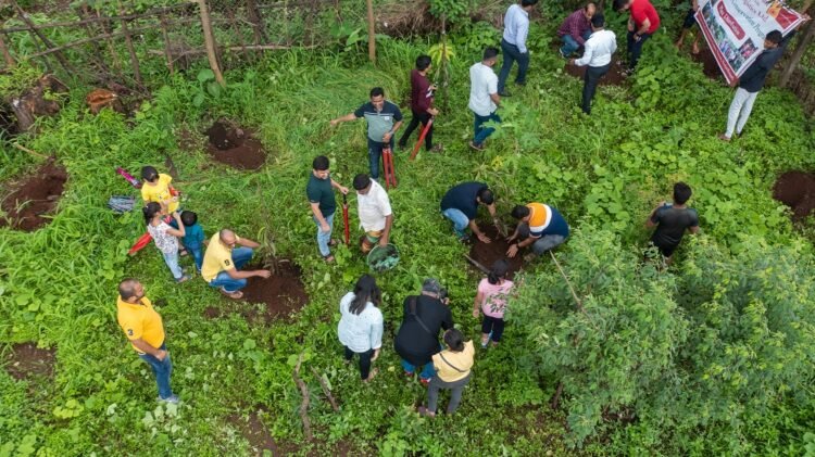 Allcargo Group Aims to Plant 50 Lakh Saplings by 2030