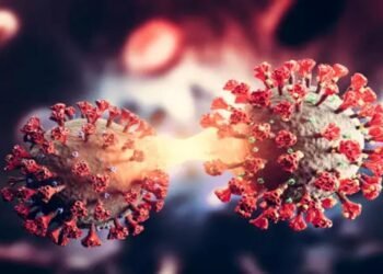 How Did Covid-19 Affect The Indian Economy?