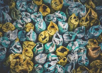 Circular Economy: How Indian Companies are Redefining Waste Through CSR