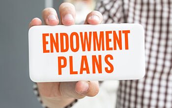 What is Endowment Plan?