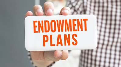 What is Endowment Plan?