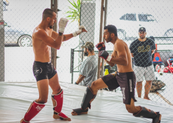Understanding Combat Sports