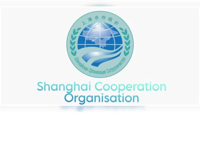 SCO Summit 2024: An Overview
