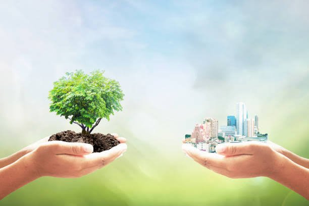 Sustainable Real Estate