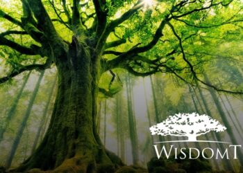 WisdomTree Asset Management has agreed to pay a $4 million penalty to settle charges from the SEC over misleading ESG claims.