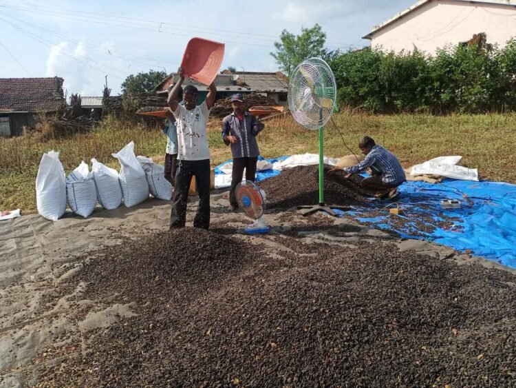 Tata Motors’ CSR Efforts Impact 1 Million Lives in FY24, Highlights from 10th Annual Report