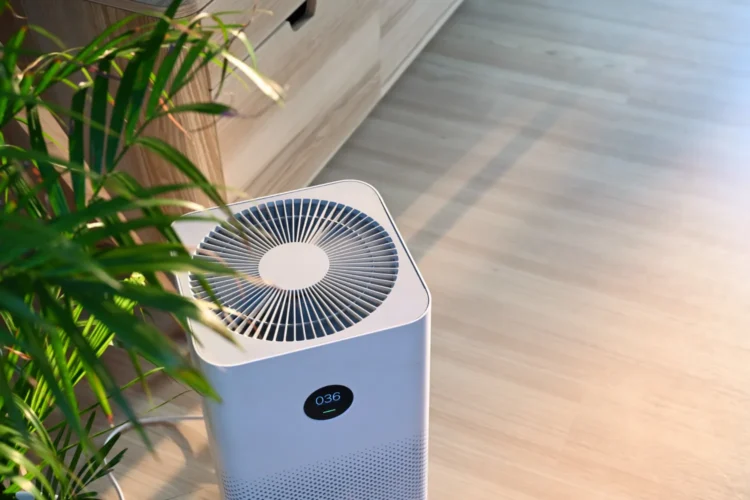 Air Purifier for Home Transform Your Living Space