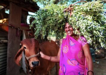 Hindustan Zinc Empowering Rural Economies with Dairy Farming Initiatives