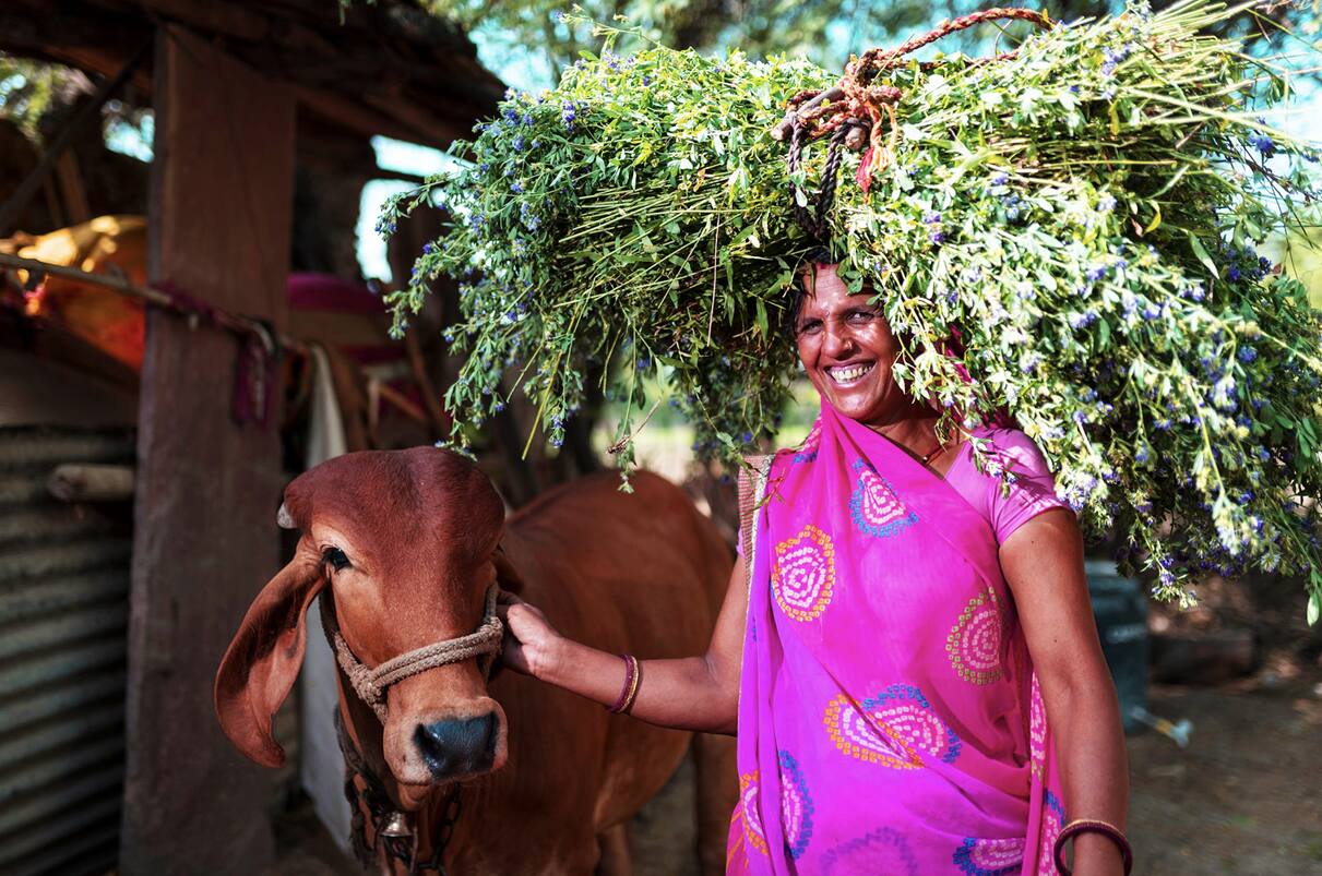 Centre Allocates Rs. 95,692 Crore Under VB-G RAM-G for Rural Employment in 2026–27 1 Hindustan Zinc Empowering Rural Economies with Dairy Farming Initiatives
