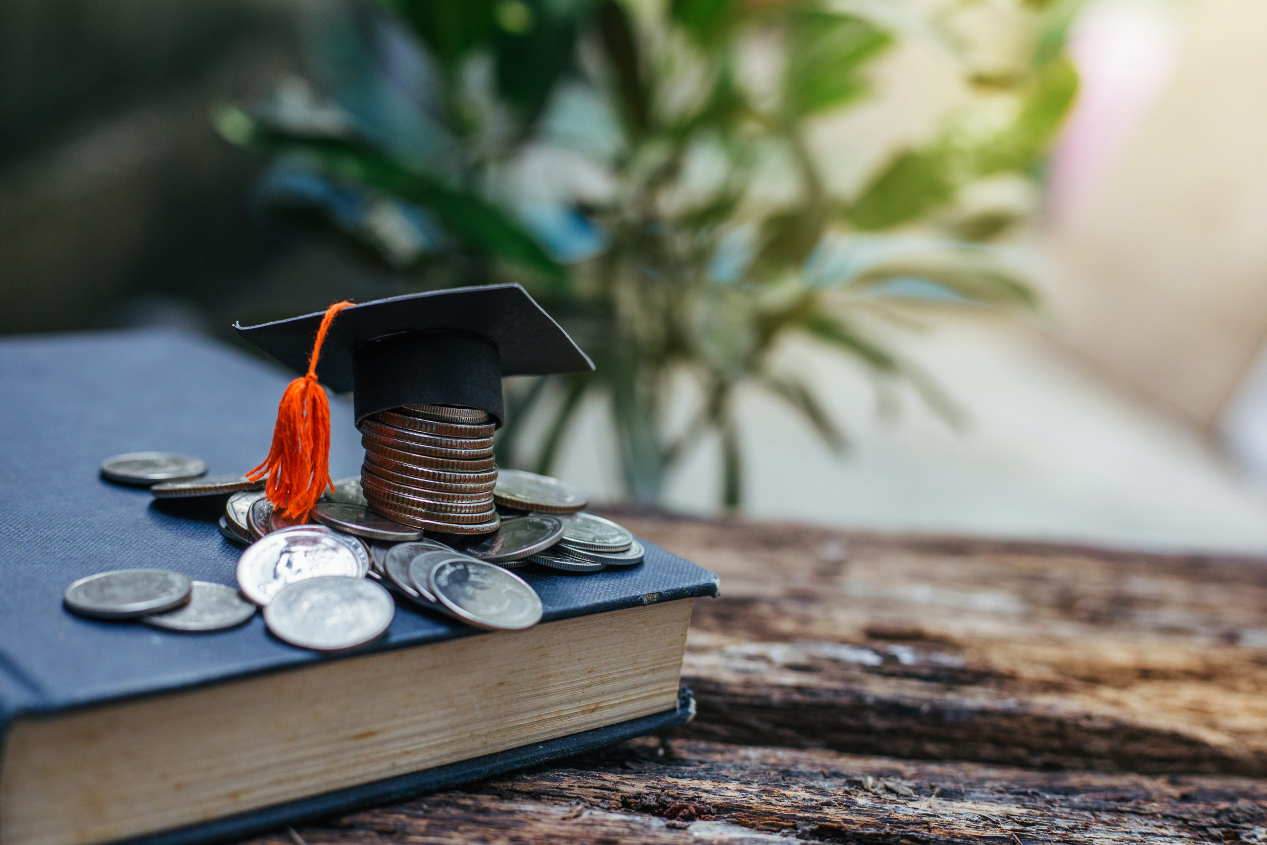 Bank of Baroda Empowers Students with Education Loans, Disburses Rs. 2,844 Crore in 2023-24 1 Education Loans in India from Bank