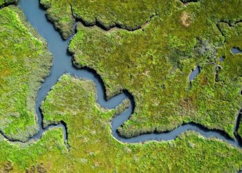 India’s Path to 100 Ramsar Wetland Sites: 7 Key Facts on This Conservation Milestone