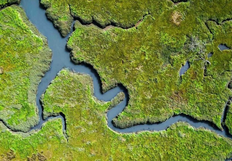 India’s Path to 100 Ramsar Wetland Sites: 7 Key Facts on This Conservation Milestone