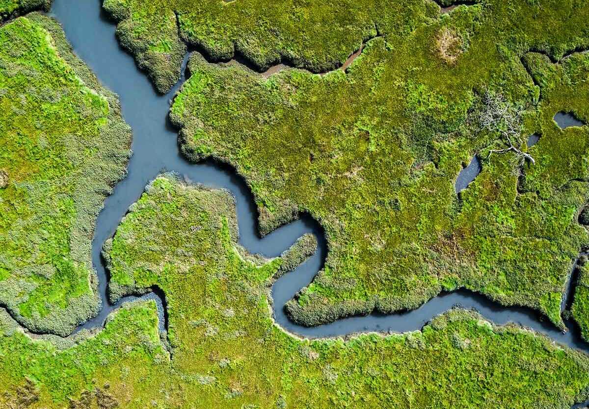 India’s Path to 100 Ramsar Wetland Sites: 7 Key Facts on This Conservation Milestone