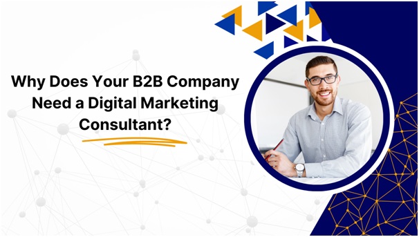 Why Does Your B2B Company Need a Digital Marketing Consultant?