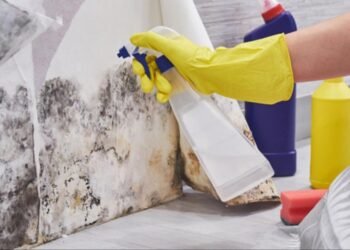 11 Best Ways to Control Post-Monsoon Dampness in Homes