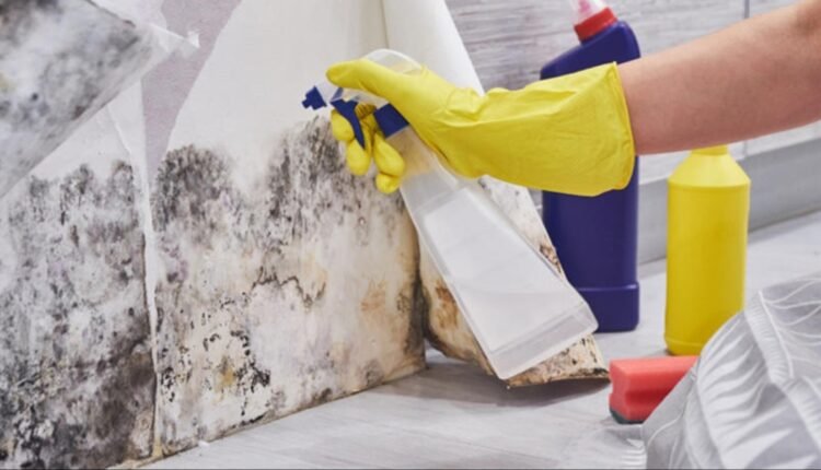 11 Best Ways to Control Post-Monsoon Dampness in Homes