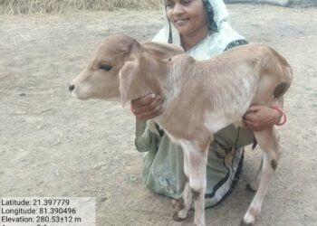 CSR: Adani Foundation and ACC Jamul Empower Rural Women with Livestock Innovations